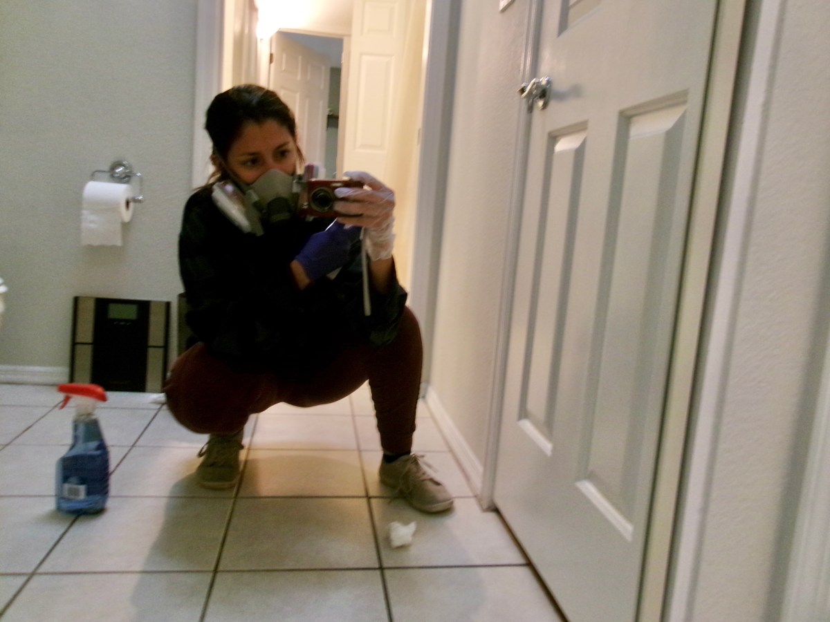 Chronicles of a Cleaning&nbsp;Lady